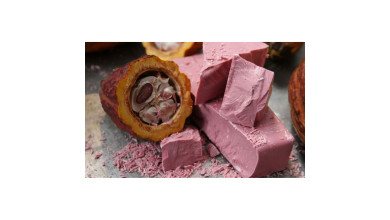 Chocolat Ruby RB1 47% pistoles 400 grammes