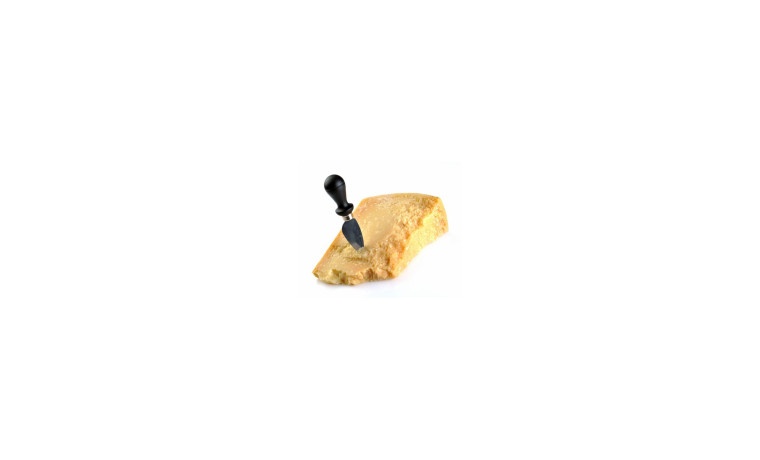 Couteau à parmesan
