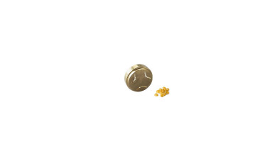 Filière Conchigliette pour appareil à pâtes fraîches (AT910) pour Cooking Chef Kenwood - Filière Conchigliette