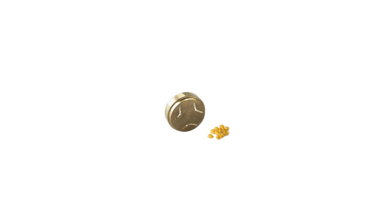 Filière Conchigliette pour appareil à pâtes fraîches (AT910) pour Cooking Chef Kenwood - Filière Conchigliette