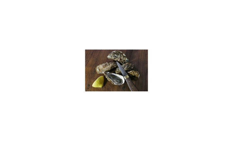 Lancette à huîtres