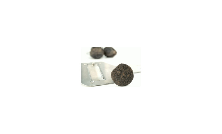 Râpe à truffes