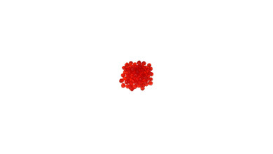 Cerises bigarreaux rouges confites 1kg - Le pot de 1kg