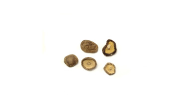 Shiitakes séchés entiers pour cuisine professionnelle et préparation de plats aromatiques, idéal pour les utilisations en rayon 