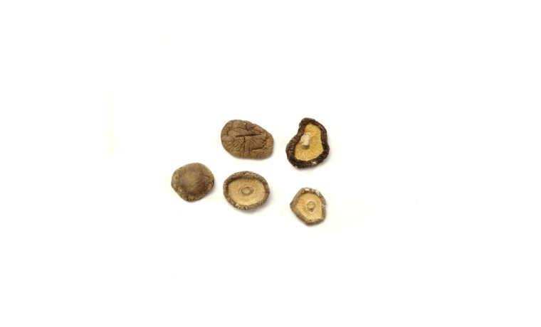Shiitakes séchés entiers pour cuisine professionnelle et préparation de plats aromatiques, idéal pour les utilisations en rayon 