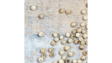 Poivre blanc de Penja du Cameroun pour la cuisine professionnelle - Sachet de 250g