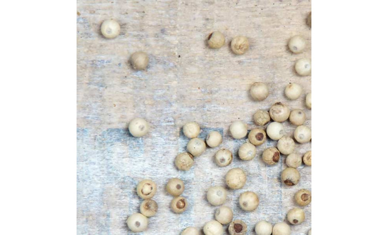 Poivre blanc de Penja du Cameroun pour la cuisine professionnelle - Sachet de 250g