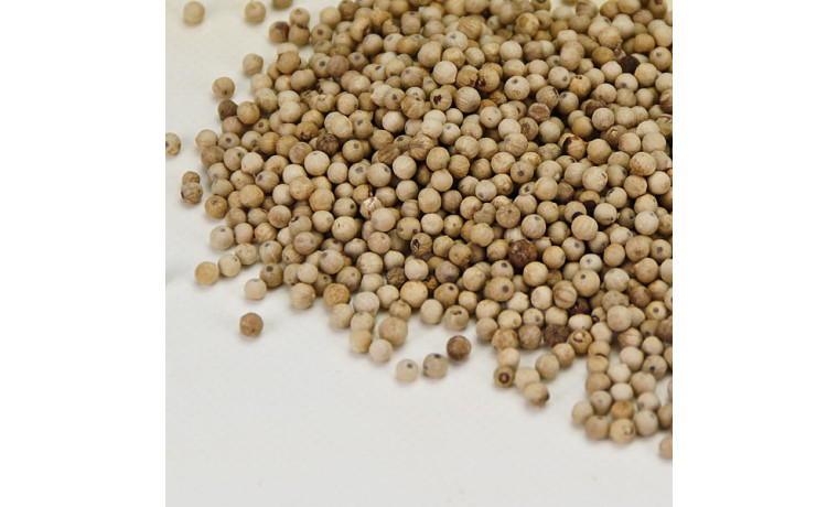 Poivre blanc fumé de Penja (Cameroun) pour cuisine professionnelle - Sachet de 500g