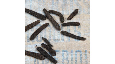 Poivre long de Java pour la cuisine professionnelle - Sachet de 500g