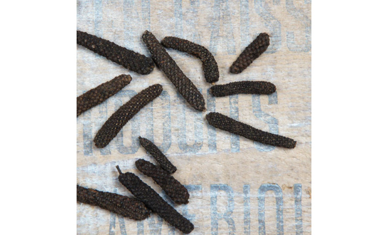 Poivre long de Java pour la cuisine professionnelle - Sachet de 500g