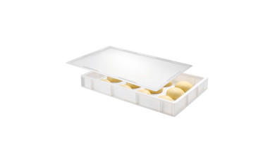Bac à pâtons blanc 15 L Gilac – 600 x 400 x 90 mm - Bac (600x400x90mm)