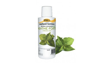 Arôme alimentaire concentré Menthe forte 125ml