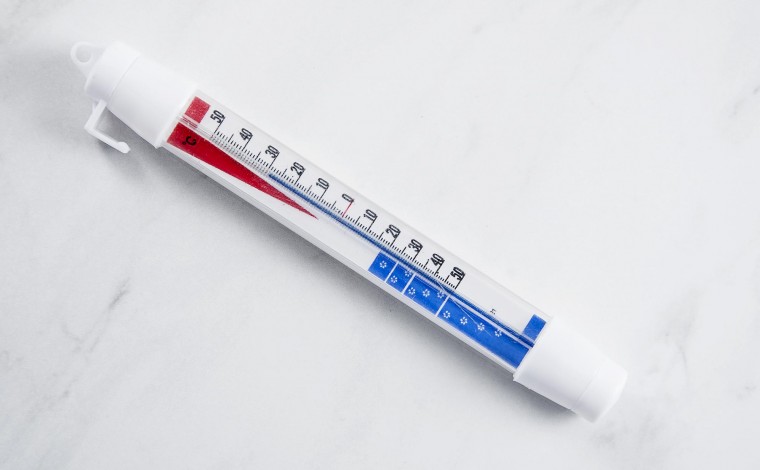 Refrigerator-freezer thermometer