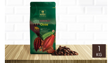 Beurre de Cacao Désodorisé BARRY Pistoles 100 % Cacao - 1 Kg