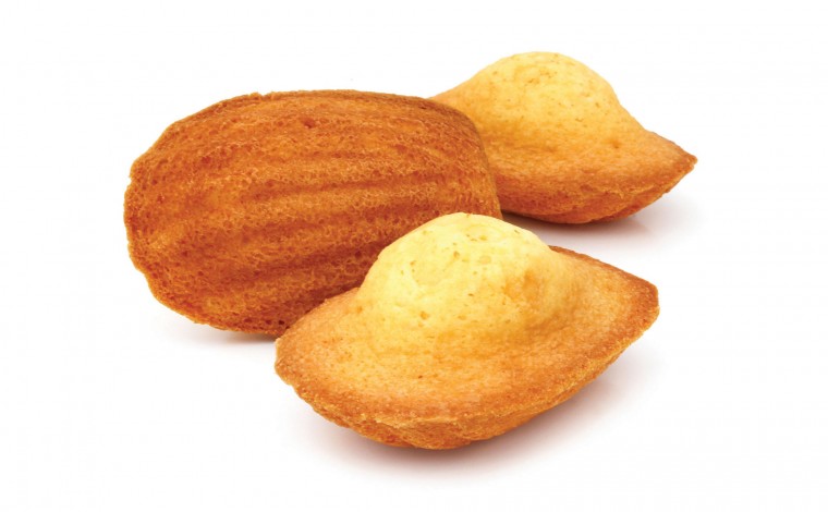 Moule silicone 9 madeleines