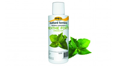 Concentrated food aroma Strong mint 125ml