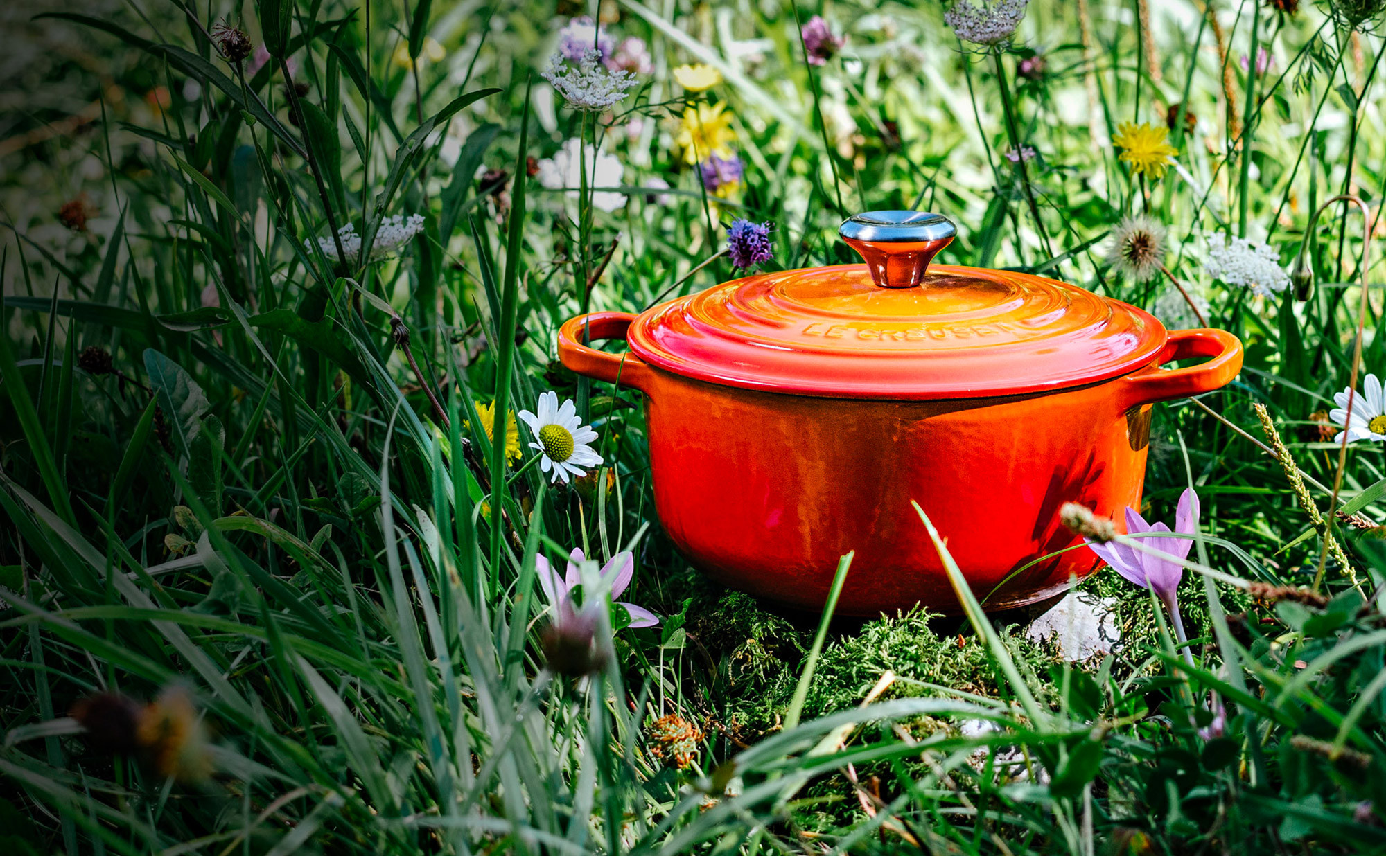 Cocotte round cherry cast iron 24 cm 